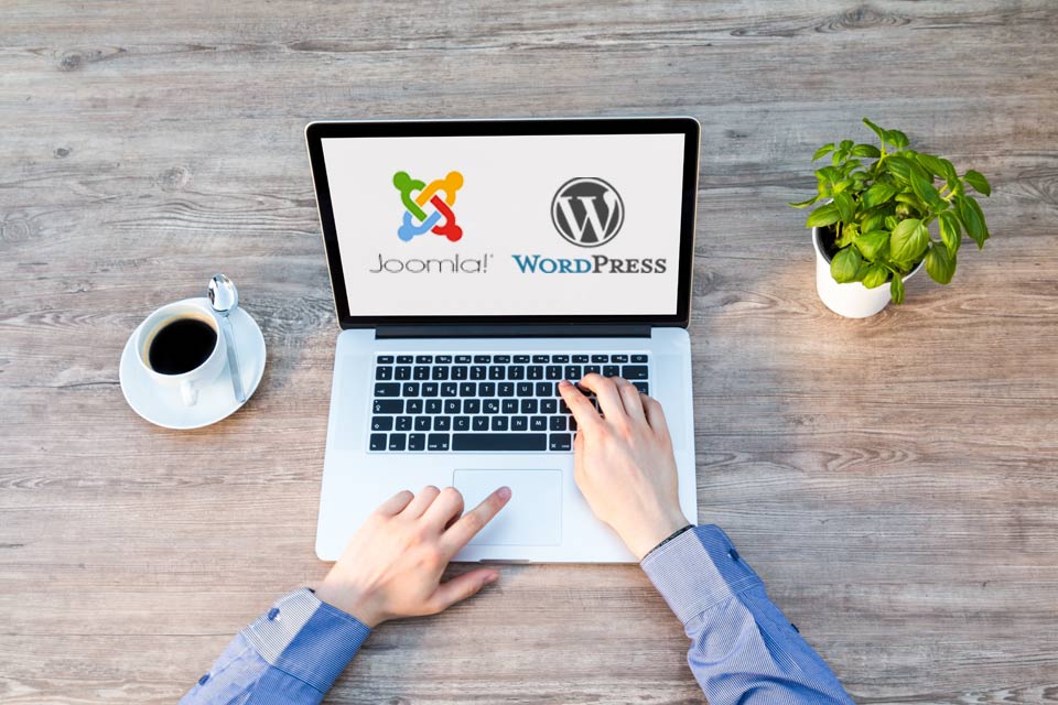 Why Are WordPress And Joomla A Perfect Match?