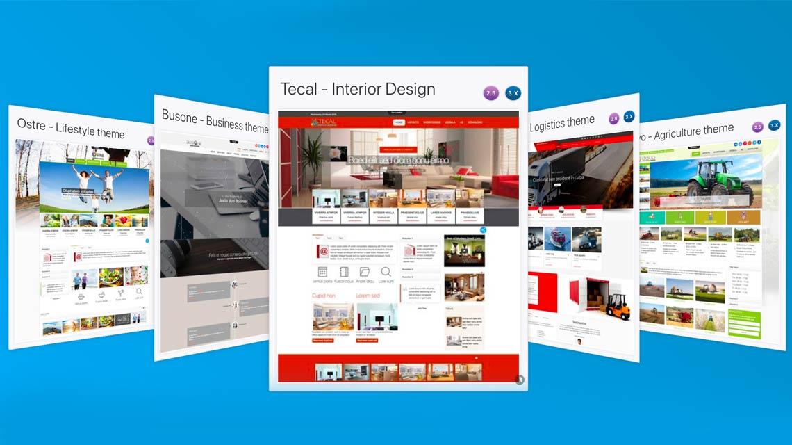 Why You Need a Professional Joomla Template?