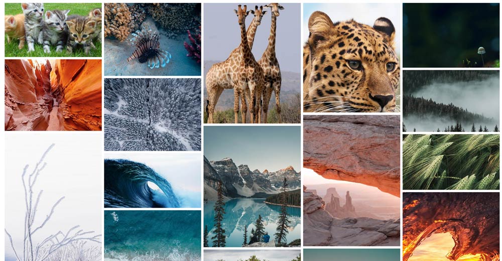 Isotope Gallery Joomla Plugin