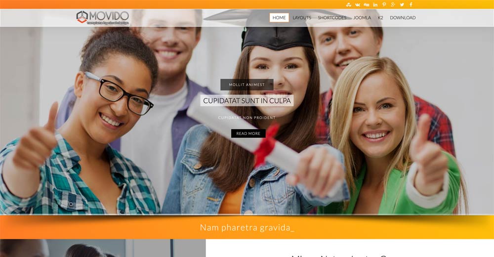 Online courses Joomla Template