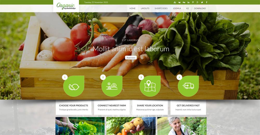Organic Products Joomla Template