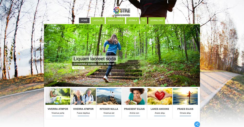 Lifestyle Joomla Template