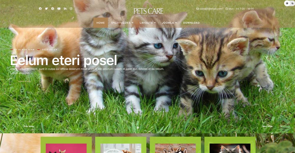 Pets Joomla template