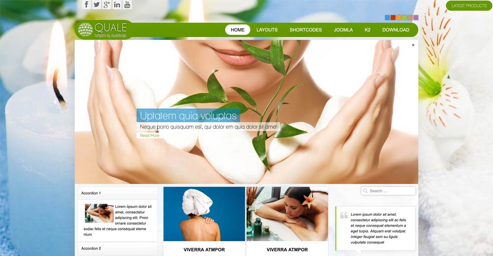 Beauty Salon &amp; Spa Joomla Template