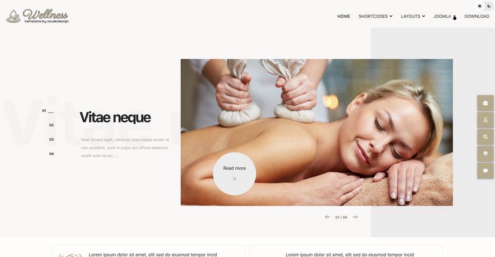 Wellness Joomla template